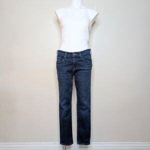 Anthropologie Pilcro High Rise Skinny Jeans Size 31